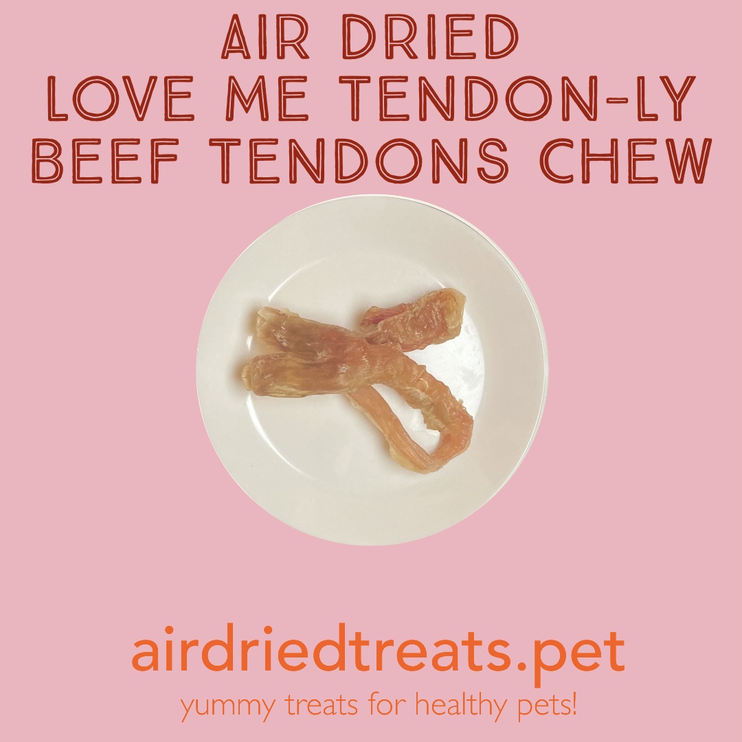 Air Dried Beef Love Me Tendon-ly Chew