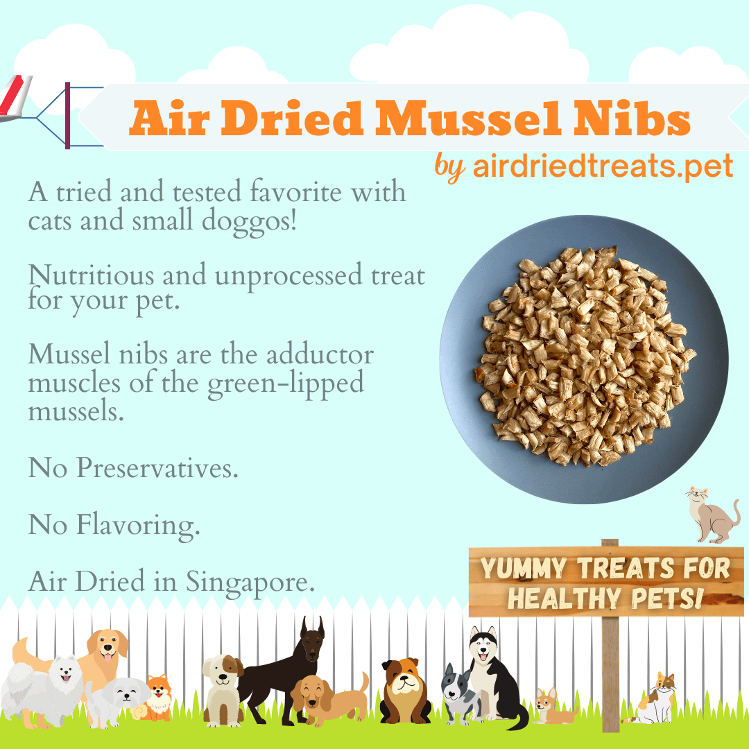 Air Dried Mussels Nibs