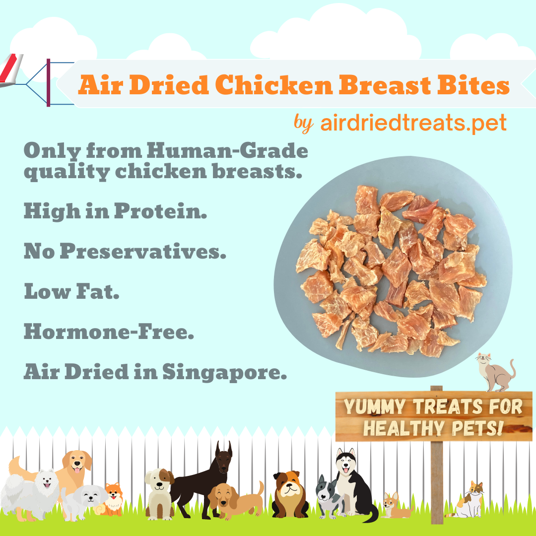Air Dried Chicken Breast Bites