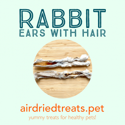 Rabbit Ears with Hair