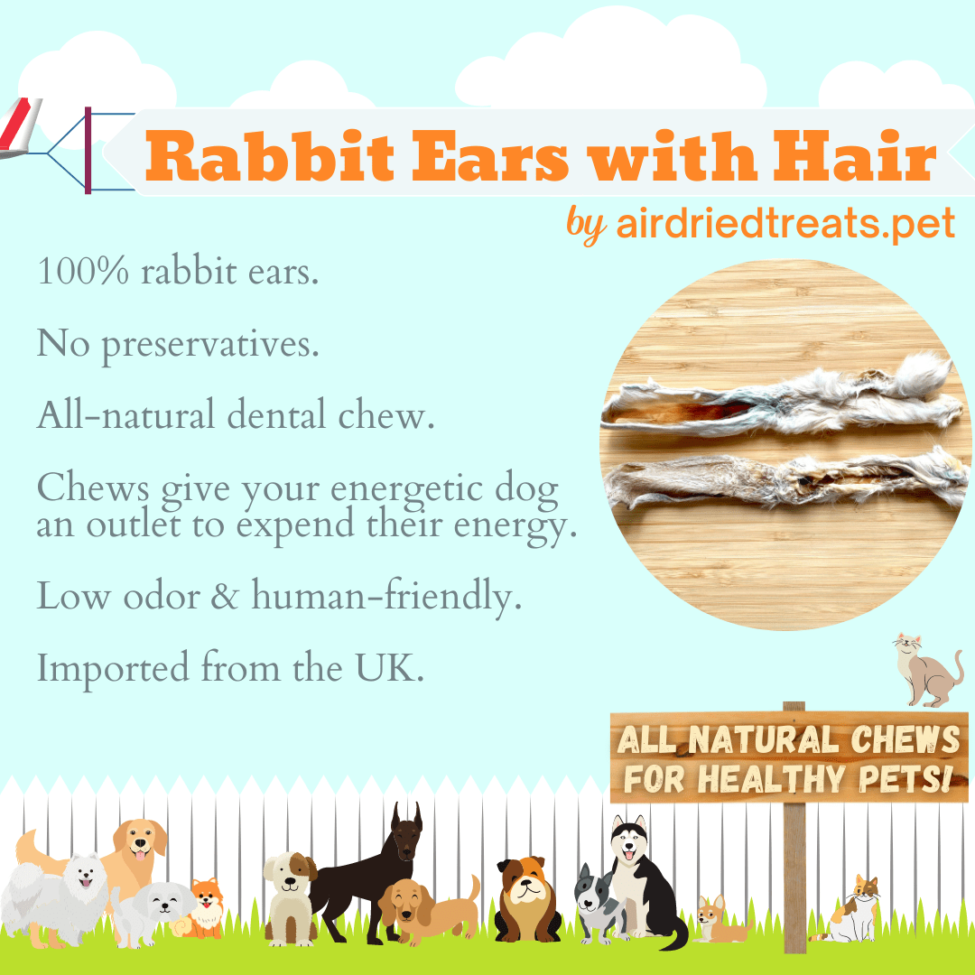 Rabbit Ears with Hair
