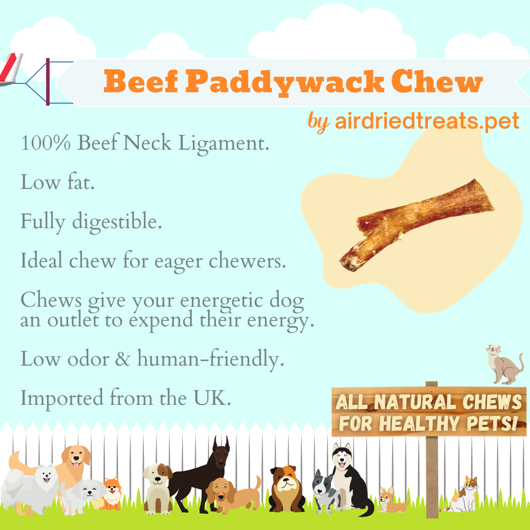 Beef Paddywack Chews